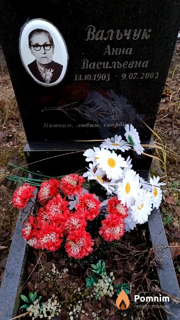 Вальчук Анна Васильевна