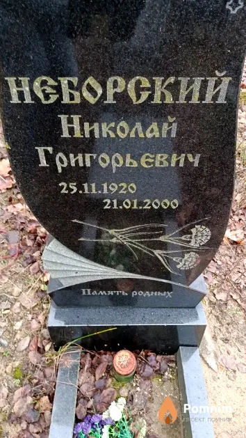 Неборский Николай Григорьевич