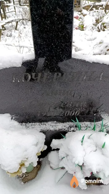 Кочергина Анна Сергеевна