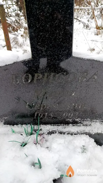 Борисова Мария Сергеевна