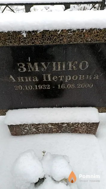 Змушко Анна Петровна
