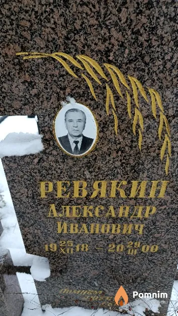 Ревякин Александр Иванович