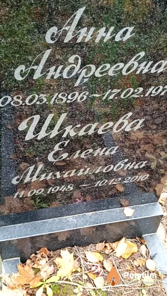 Шкаева Елена Михайловна