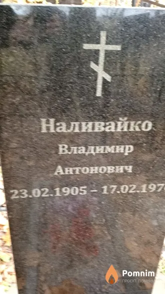 Наливайко Владимир Антонович
