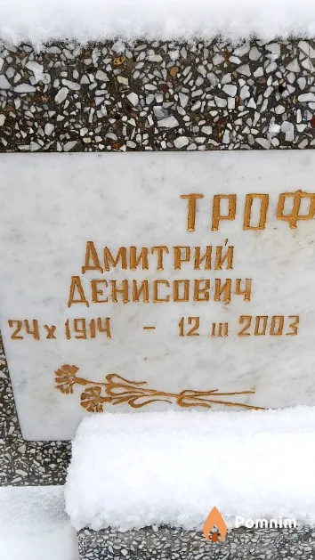Трофимов Дмитрий Денисович