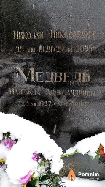 Медведь Надежда Александровна