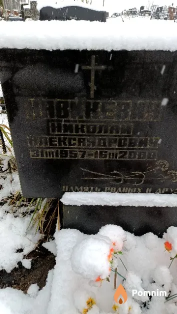 Навикевич Николай Александрович