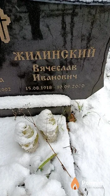Жилинский Вячеслав Иванович