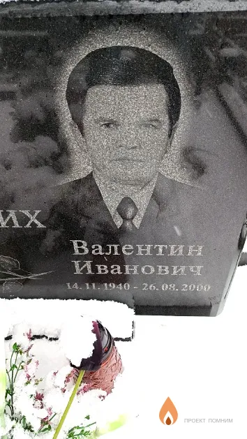 Высоких Валентин Иванович