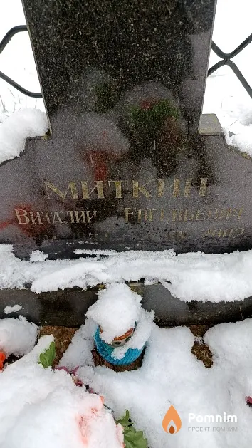 Миткин Виталий Евгеньевич