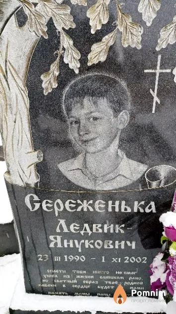 Ледвик-Янукович Сергей