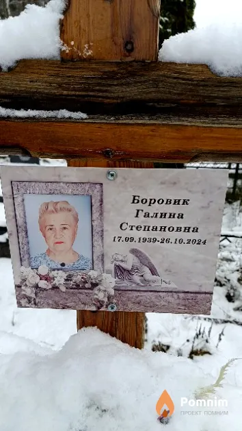Боровик Галина Степановна