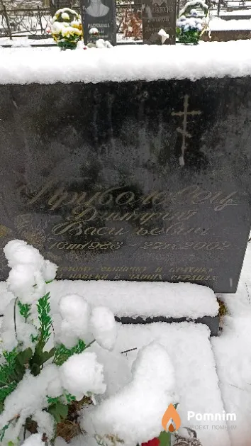 Приболовец Дмитрий Васильевич