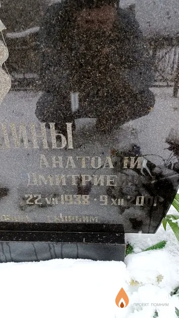 Волошин Анатолий Дмитриевич