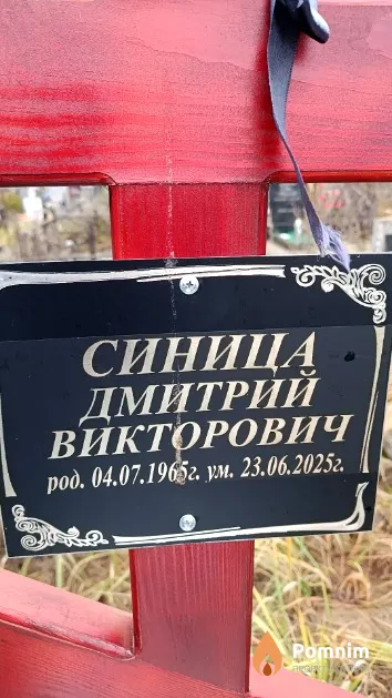 Синица Дмитрий Викторович