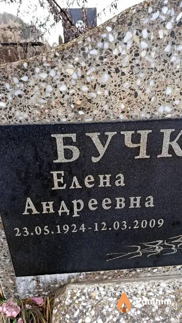 Бучкина Елена Андреевна