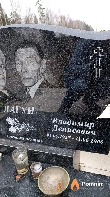 Лагун Владимир Денисович