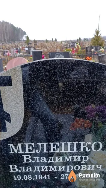 Мелешко Владимир Владимирович