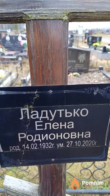 Ладутько Елена Родионовна