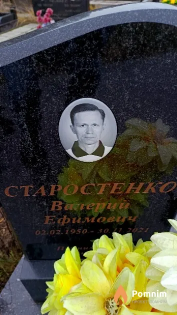 Старостенко Валерий Ефимович