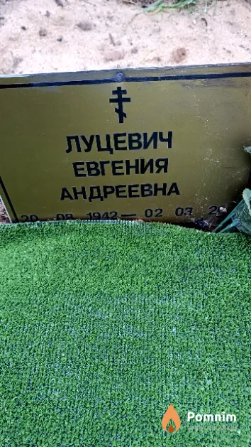 Луцевич Евгения Андреевна