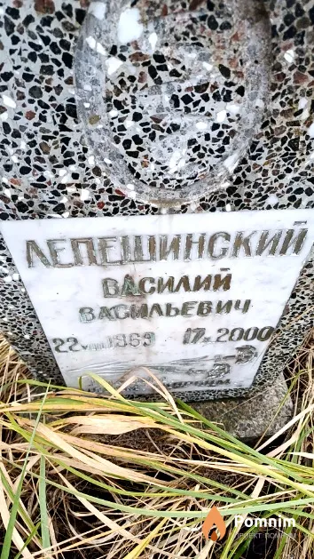 Лепешинский Василий Васильевич