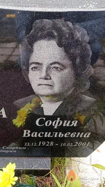 Домра София Васильевна