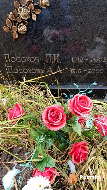 Посохова А. А.
