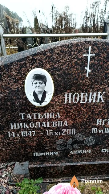 Новик Татьяна Николаевна