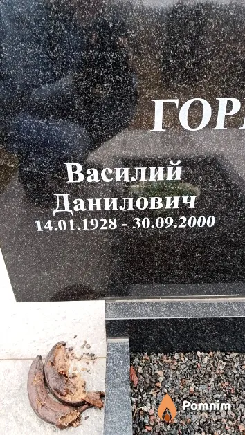 Горбачёв Василий Данилович