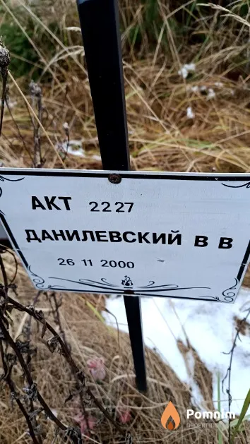 Данилевский В. В.