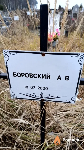 Боровский А. В.