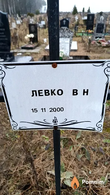 Левко В. Н.