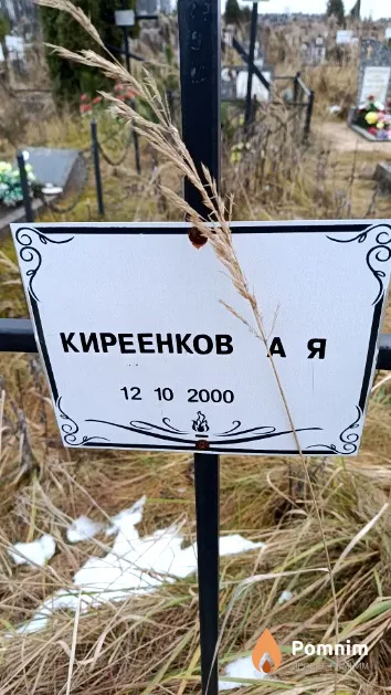 Киреенков А. Я.