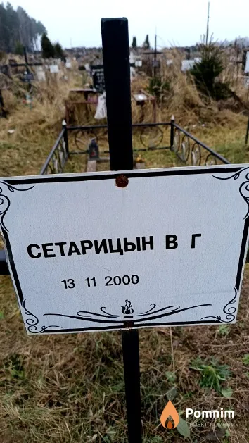 Сетарицын В. Г.