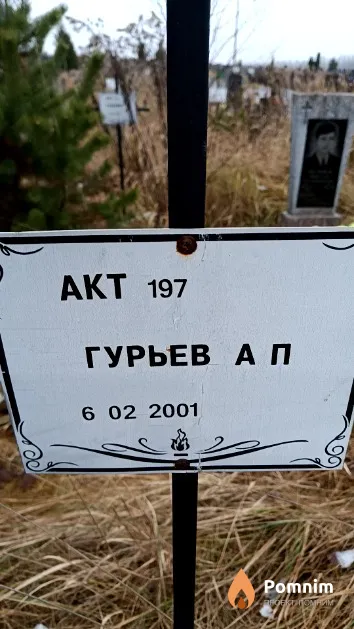 Гурьев А. П.