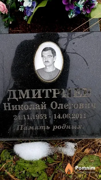 Дмитриев Николай Олегович