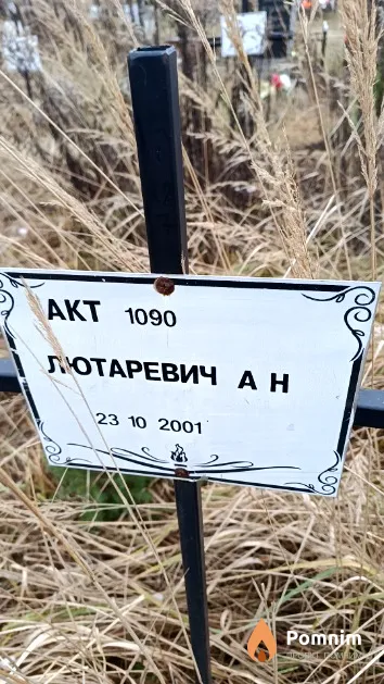 Лютаревич А. Н.