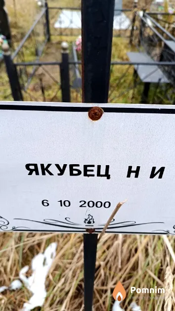 Якубец Н. И.