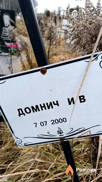 Домнич И. В.