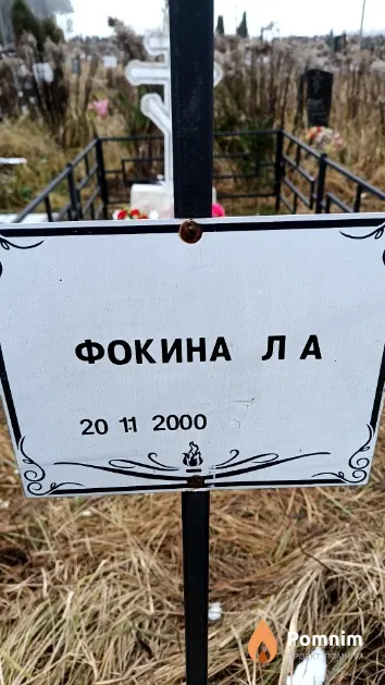 Фокина Л. А.