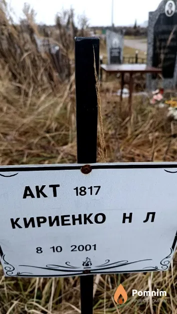 Кириенко Н. Л.