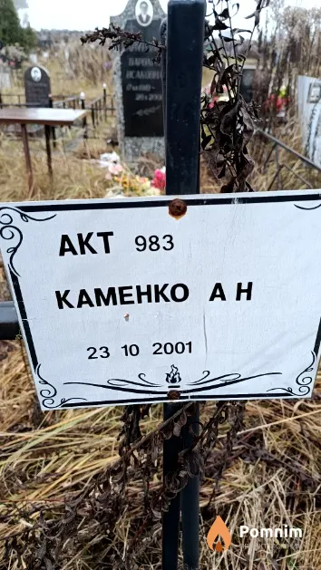 Каменко А. Н.