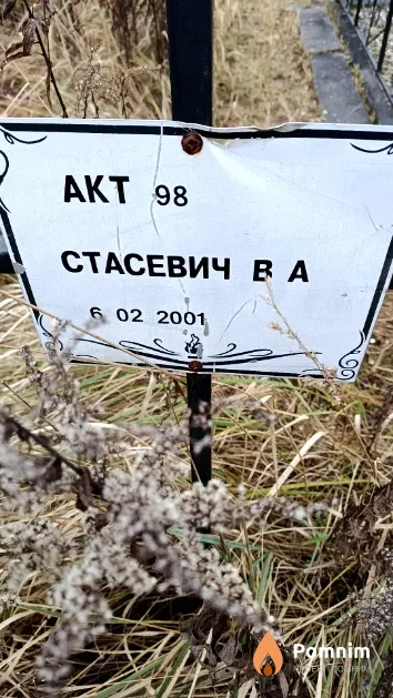 Стасевич В. А.