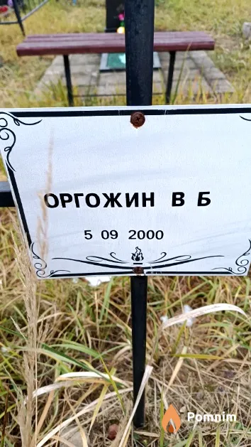 Оргожин В. Б.