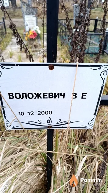 Воложевич В. Е.