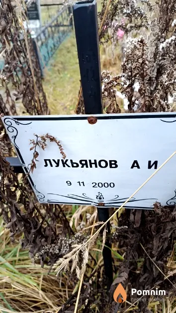 Лукьянов А. И.