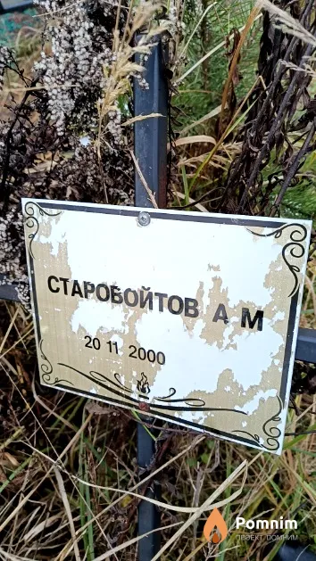 Старовойтов А. М.