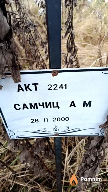Самчиц А. М.