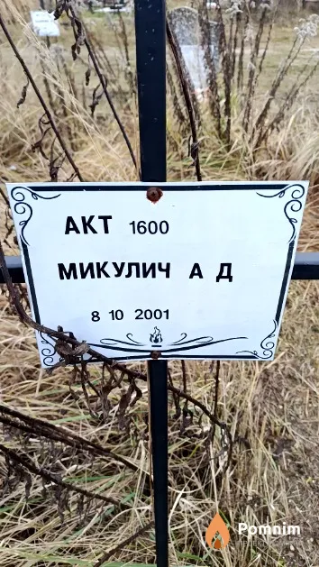 Микулич А. Д.